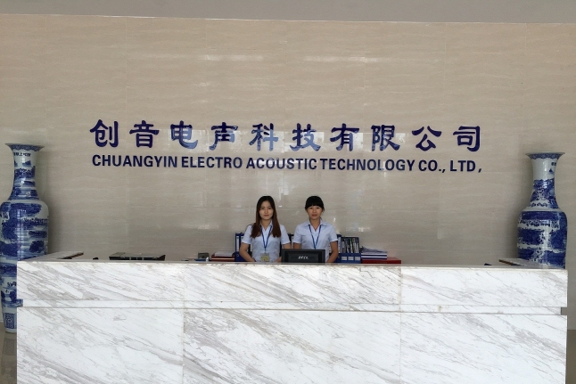 东莞市创音电声科技有限公司图2