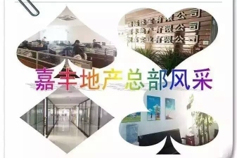 东莞市嘉丰房地产中介服务有限公司图1