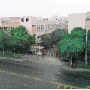 东莞市医脉实业有限公司图1