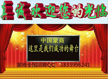 中国蒙商集团有限公司图2