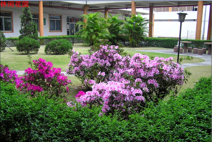 中名（东莞）电子有限公司图4