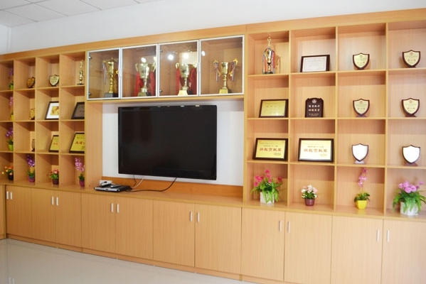 东莞大伟成记玩具有限公司图6