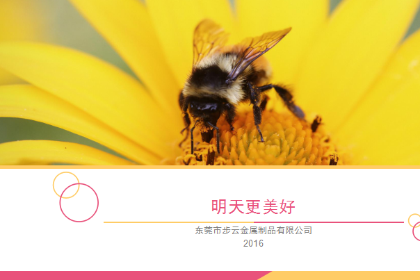 东莞市步云金属制品有限公司图8