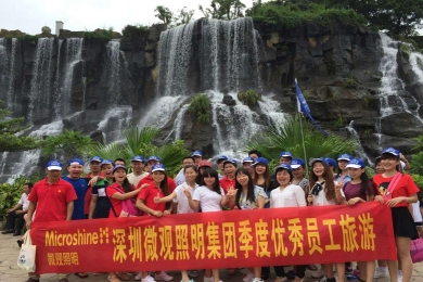 深圳市微观照明集团有限公司图4