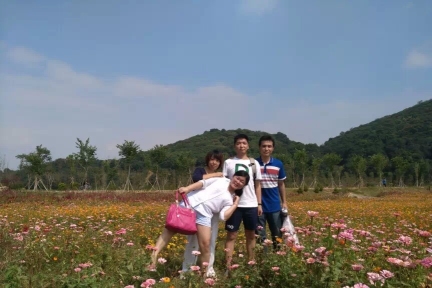 东莞市颖锋光电材料有限公司图1