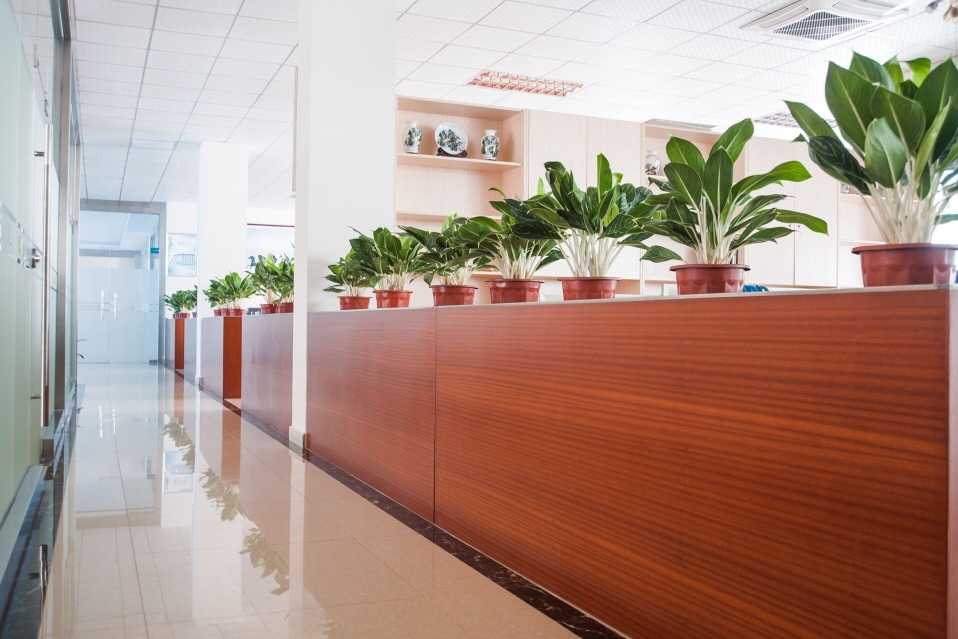 广东欧冠智能风机股份有限公司图4