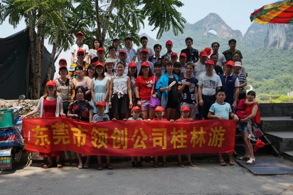 东莞市领创环保材料科技有限公司图2