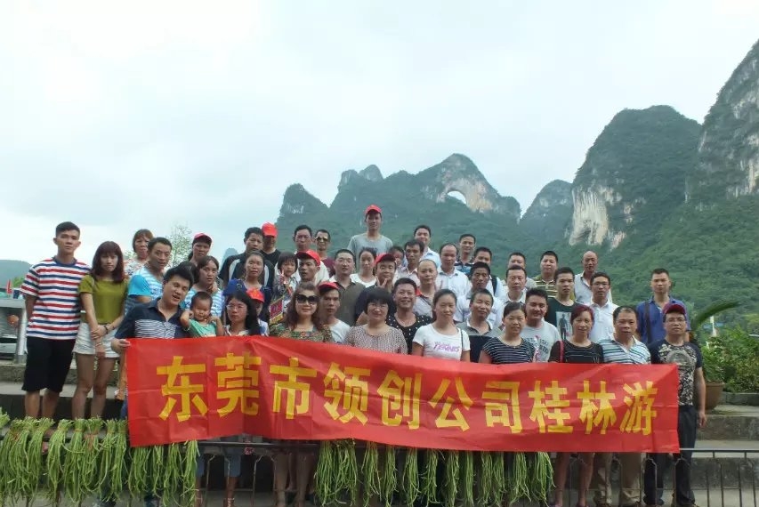 东莞市领创环保材料科技有限公司图3