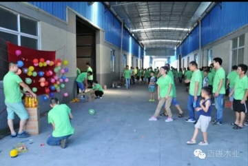 中山市迈进木业有限公司图3