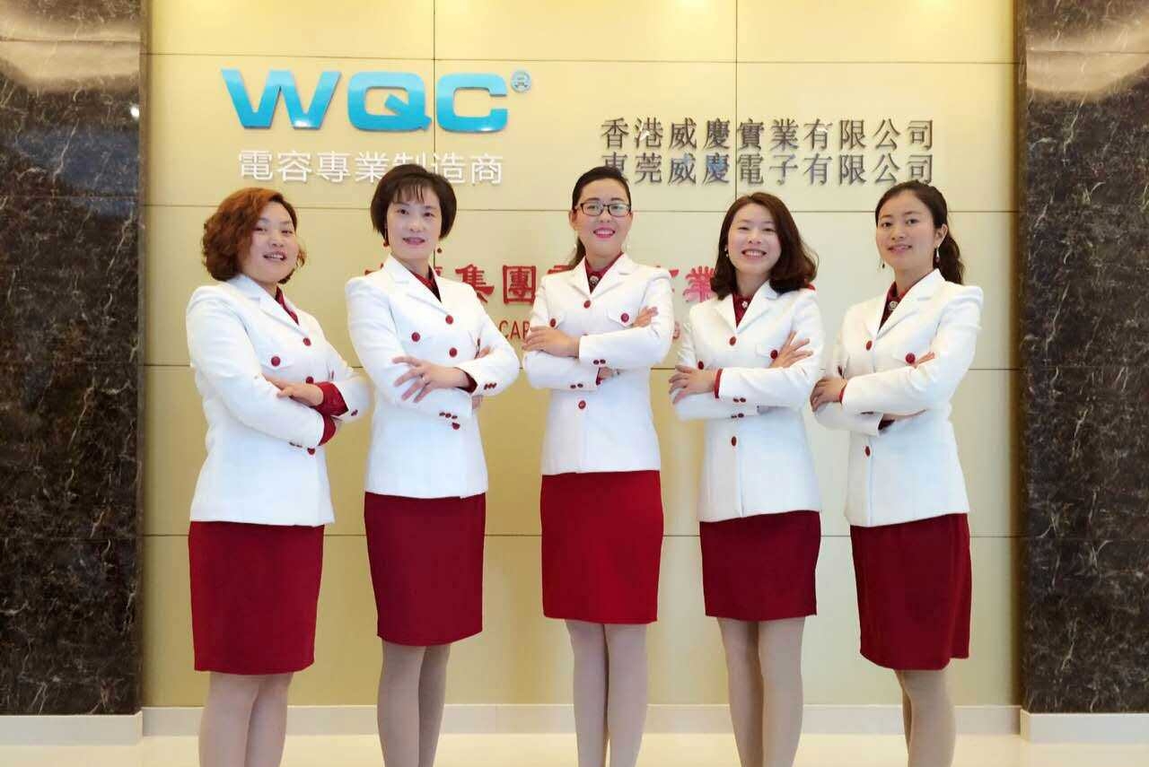 东莞市威庆电子有限公司图1