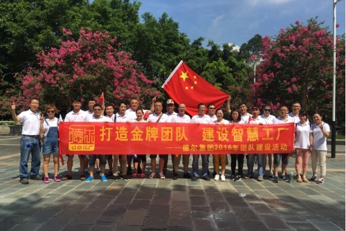 廣東德爾智慧科技股份有限公司圖1