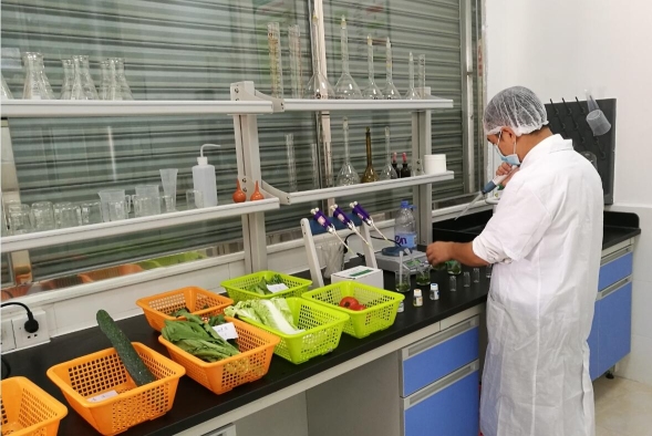 好来客食品集团有限公司江门分公司图4