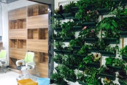 东莞市博泽皮革有限公司图2