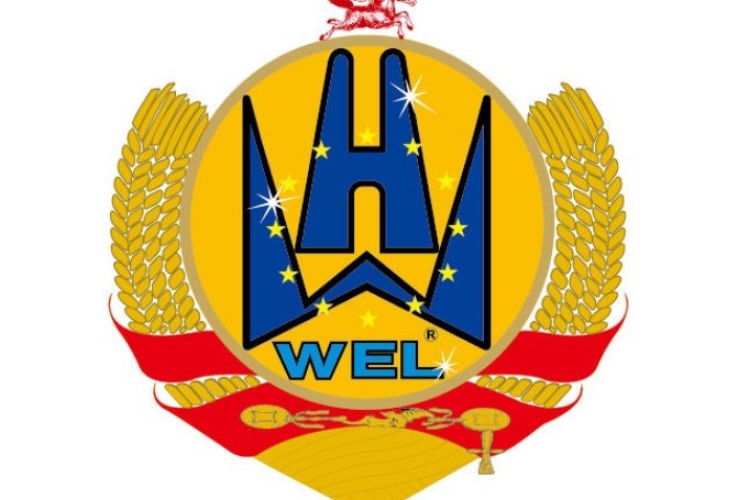 江门市威霖贸易有限公司图2