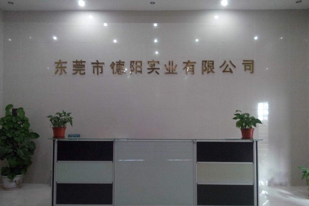 东莞市德运实业有限公司图1