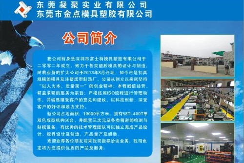 东莞市金点模具塑胶有限公司图1