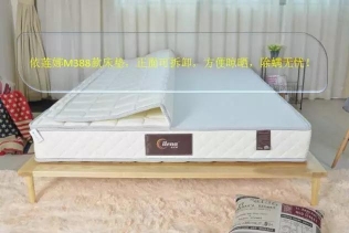 东莞市依莲娜家具有限公司图1