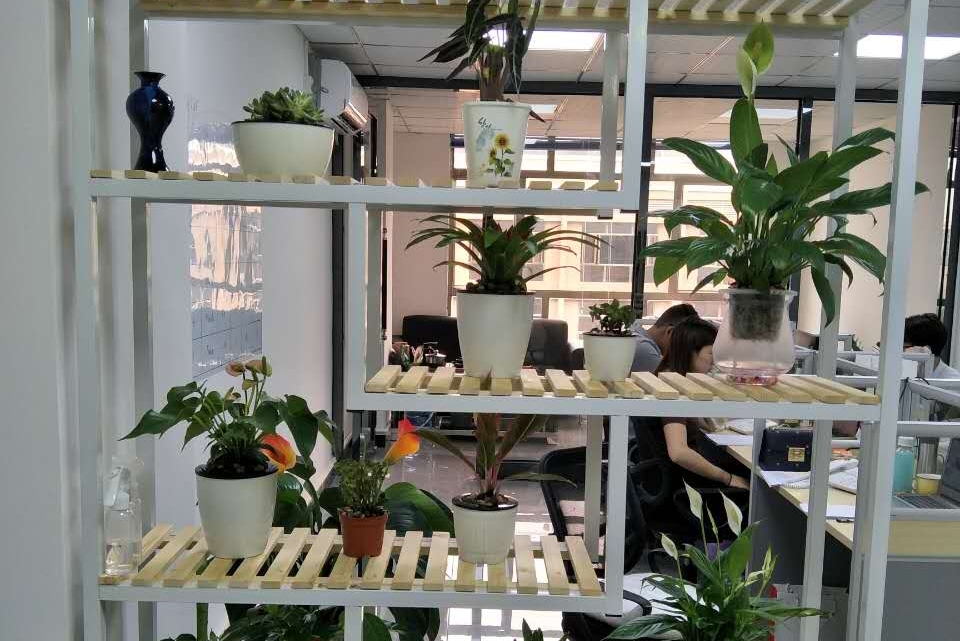 东莞市博信达知识产权代理有限公司图5