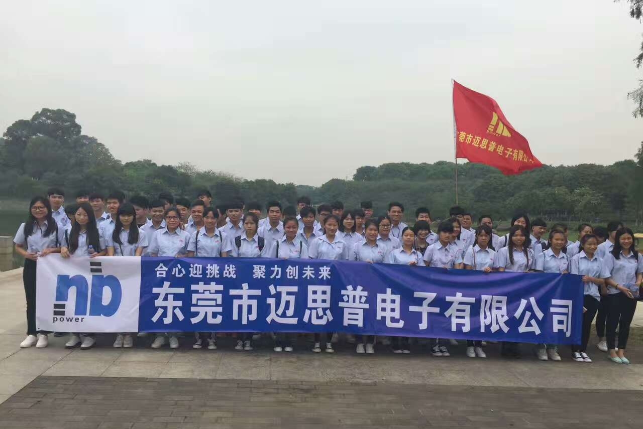 迈思普电子股份有限公司图6