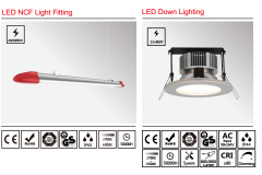 广东擎洲光电科技股份有限公司图2