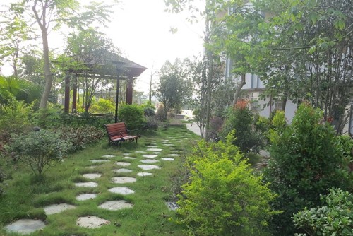 江门市大平木业有限公司图4