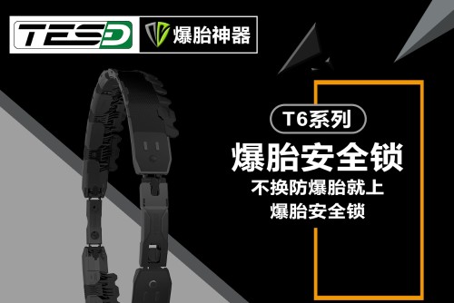 广东泰斯福德汽车用品有限公司图3