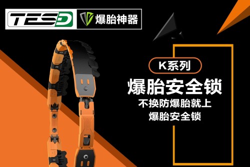 广东泰斯福德汽车用品有限公司图1