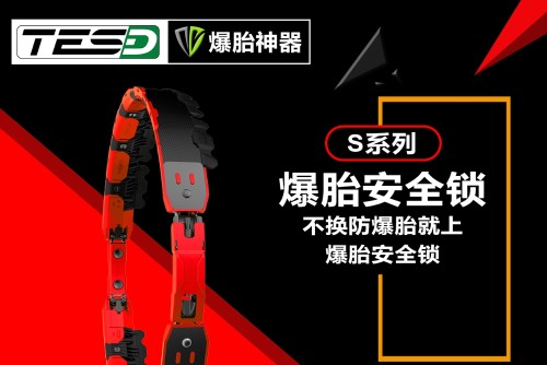 广东泰斯福德汽车用品有限公司图2