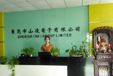 东莞市山凌电子有限公司图1