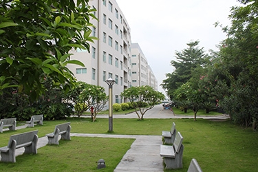 广东理文造纸有限公司图1