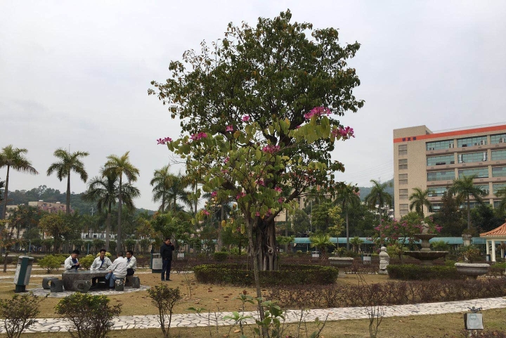 广东烨嘉光电科技股份有限公司图7