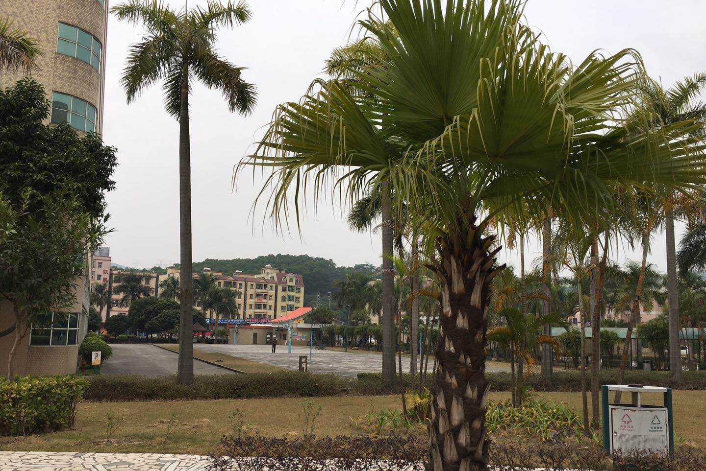 广东烨嘉光电科技股份有限公司图3