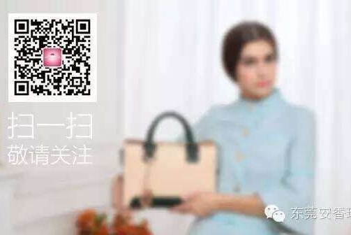 东莞市安香瑞手袋有限公司图1