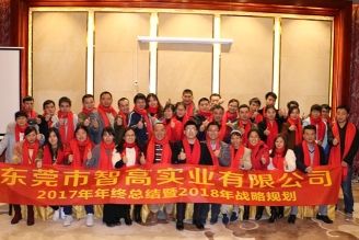 东莞市智高实业有限公司图2