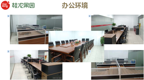 东莞市桂龙果品有限公司图5