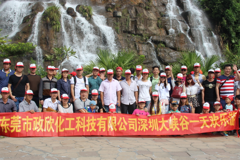 东莞市政欣化工科技有限公司图1