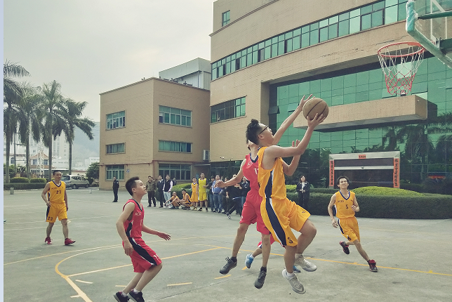 东莞宏致电子有限公司图4