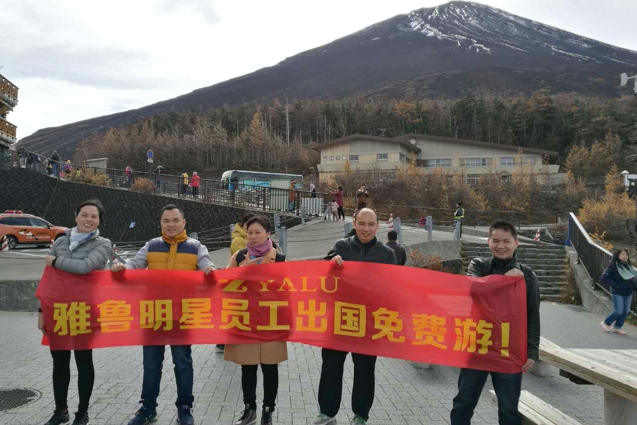 东莞市雅鲁实业有限公司图3