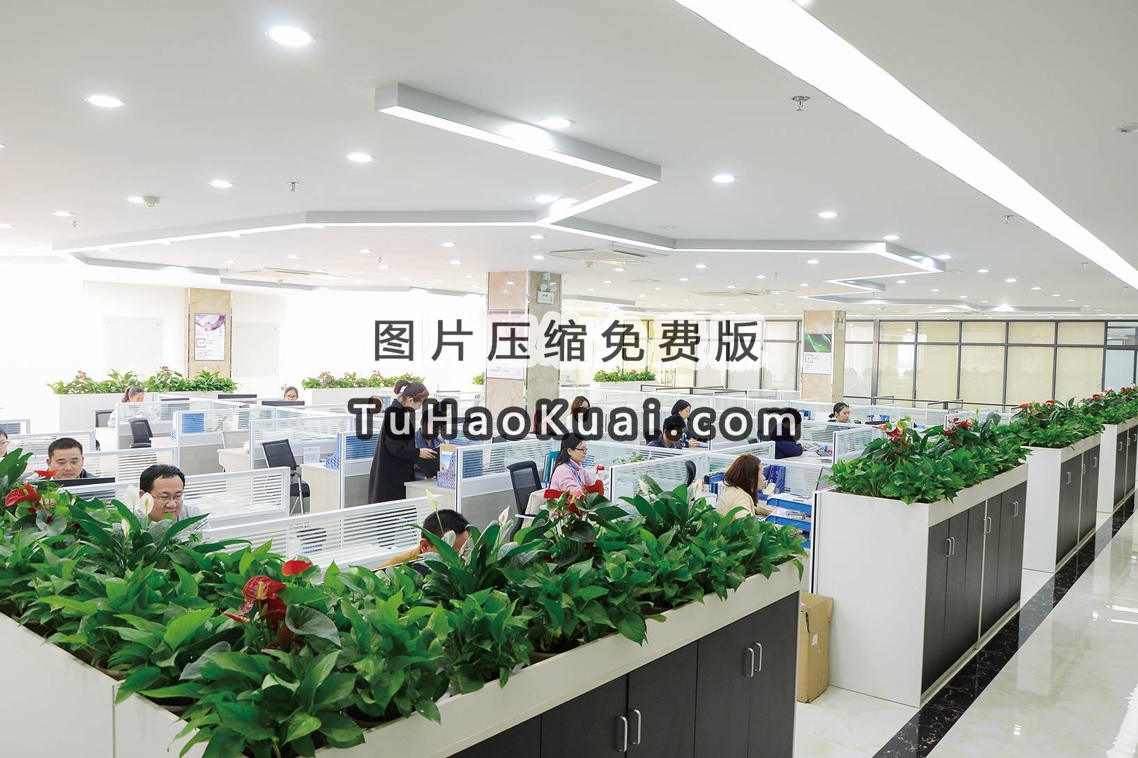 东莞市万晟包装制品有限公司图3