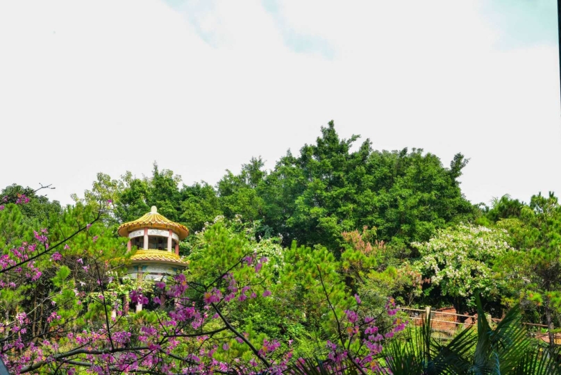 东莞市观音山森林公园开发有限公司图7