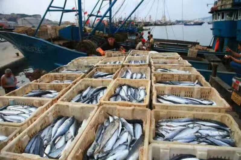 浙江海威蓝船舶有限公司图2