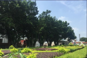 广东中亚电缆有限公司图2