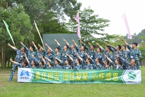 东莞市柏尔电子科技有限公司图4