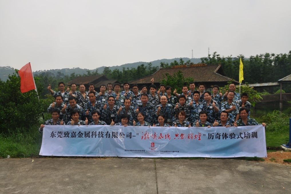 东莞致嘉金属科技有限公司图7