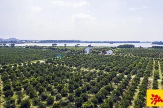 江门市基达不锈钢制品有限公司图5