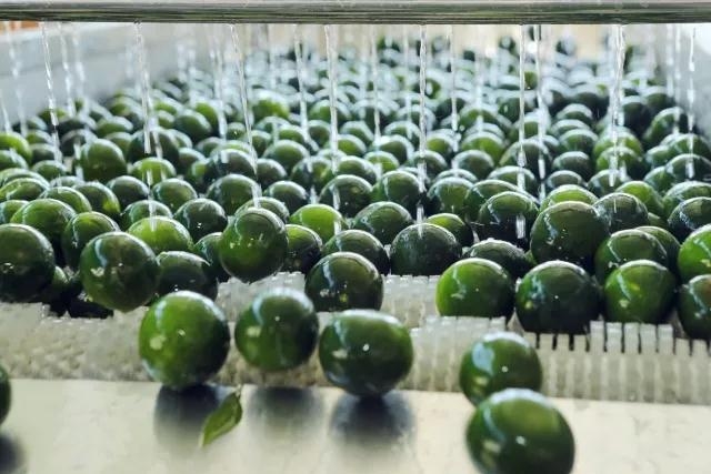 江门市基达不锈钢制品有限公司图2