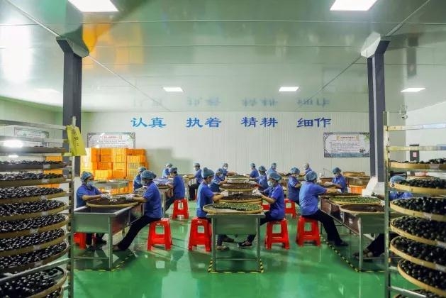 江门市基达不锈钢制品有限公司图6