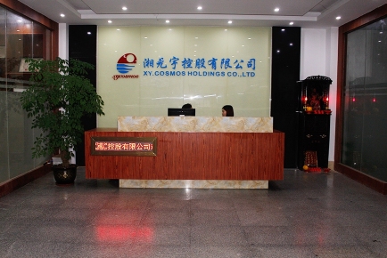 湘元宇控股有限公司图2