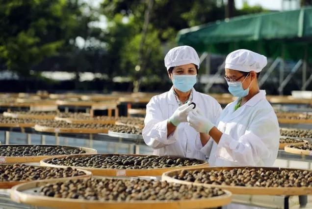 江门市基达不锈钢制品有限公司图3