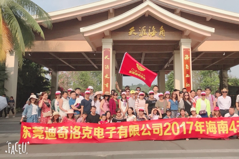 东莞迪奇洛克电子有限公司图1